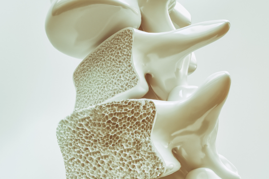The Importance of Understanding Your Bone Health